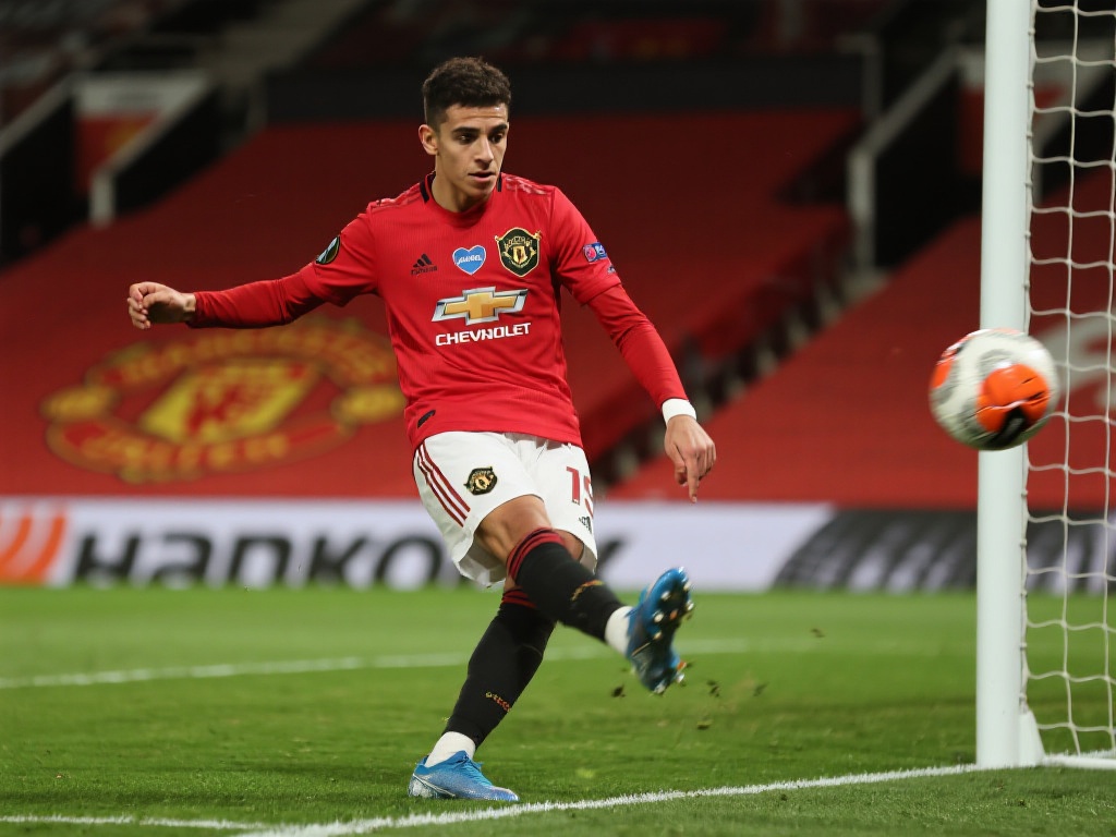 体能分配和 体能分配和